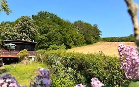 Ferienhaus Zittertal Neustadt Harz